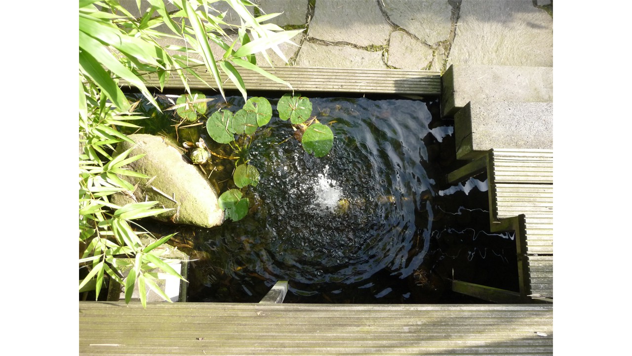 Kleine Oase 6 Bottrop Gartenanlage 1