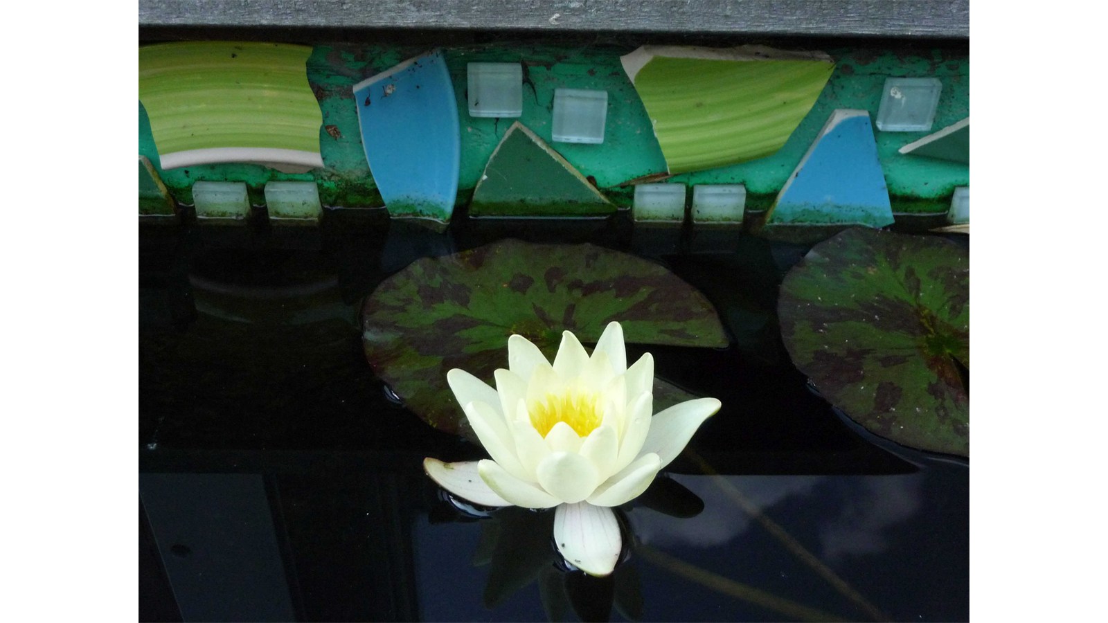 Seerose Gartenanlage mit Sitzbereich  Raumkontrast Kleine Oase Kopie